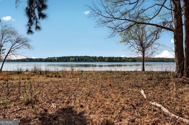 property view of water featuring a forest view