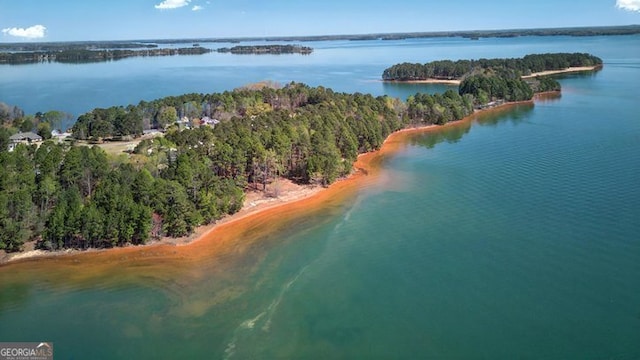 birds eye view of property featuring a water view and a view of trees