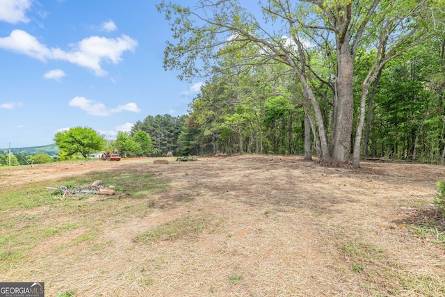 8490 Belton Bridge Rd, Lula, GA 30554 - view of yard