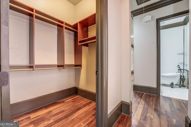 spacious closet featuring wood finished floors