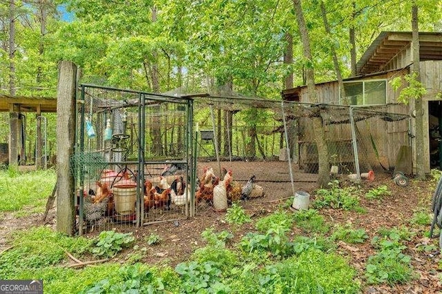 view of poultry coop