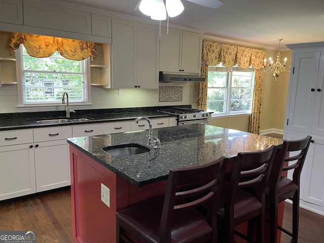 106 Zenith St, Dublin, GA 31021 - kitchen with a sink, open shelves, under cabinet range hood, and dark wood-style flooring