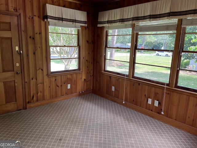 106 Zenith St, Dublin, GA 31021 - spare room featuring light colored carpet, wooden walls, and a wealth of natural light