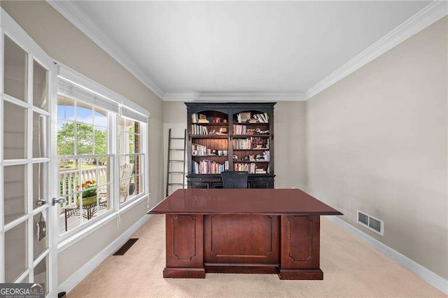 9310 Old Preserve Trl, Ball Ground, GA 30107 - home office with visible vents, baseboards, and light colored carpet