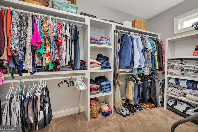 spacious closet with carpet floors