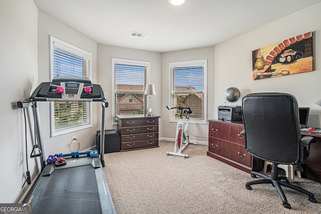 3399 In Bloom Way, Auburn, GA 30011 - home office with healthy amount of natural light, baseboards, and carpet