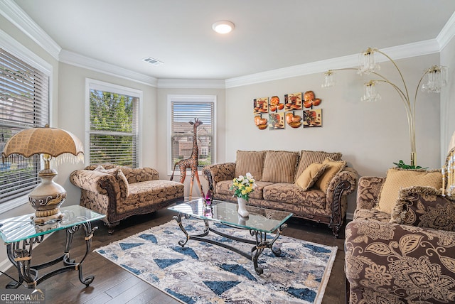 3399 In Bloom Way, Auburn, GA 30011 - living room featuring crown molding and wood finished floors