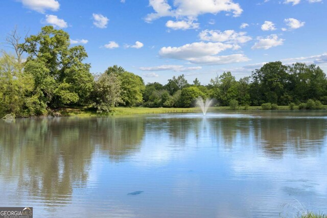 property view of water featuring a wooded view