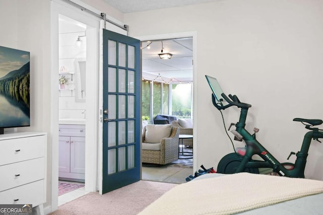 workout area with carpet floors