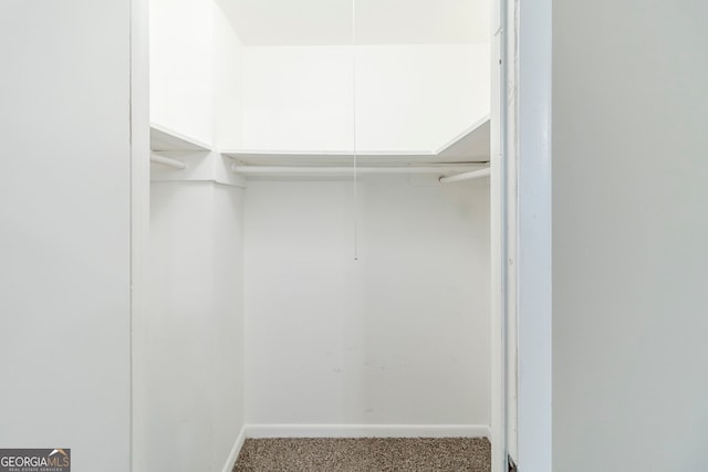 spacious closet featuring carpet floors