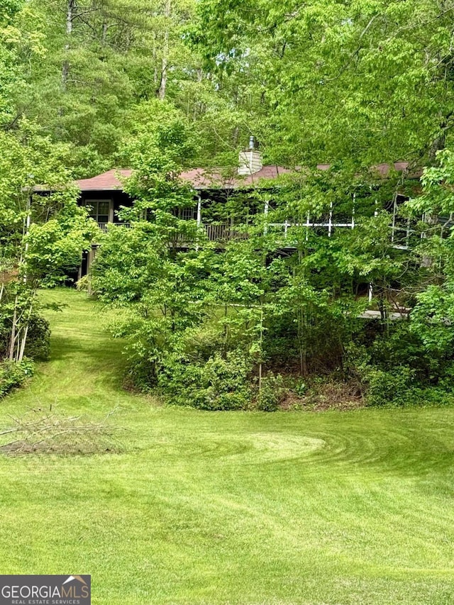 3517 Duncan Bridge Rd, Cleveland, GA 30528 - view of yard