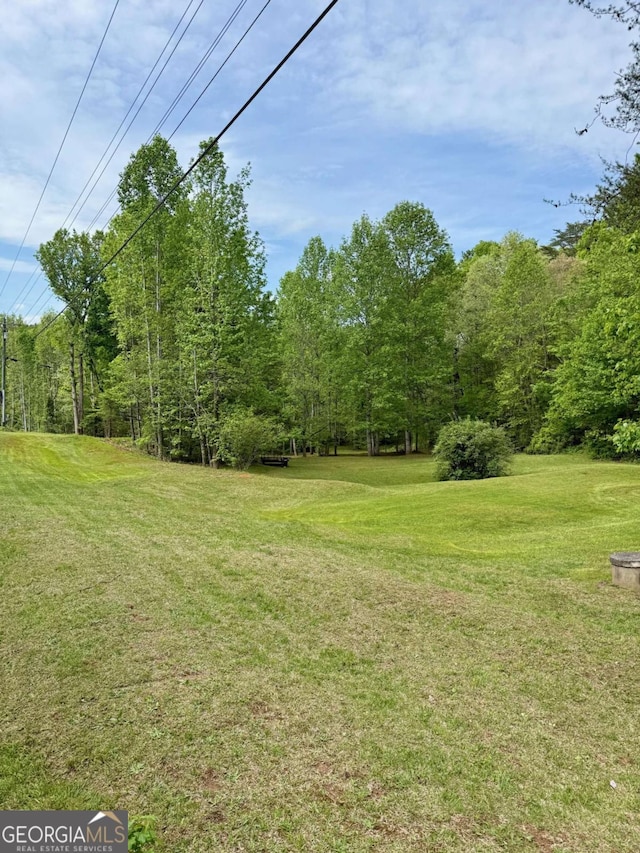 3517 Duncan Bridge Rd, Cleveland, GA 30528 - view of yard