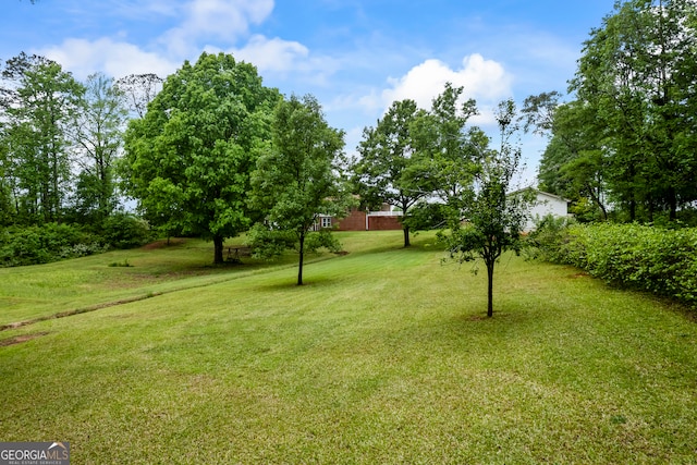 view of yard
