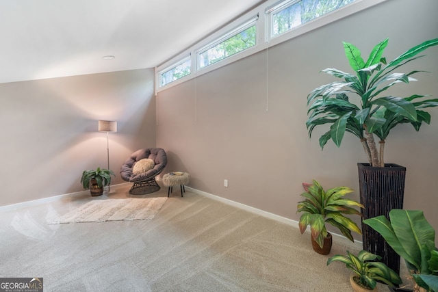 unfurnished room with baseboards and carpet floors