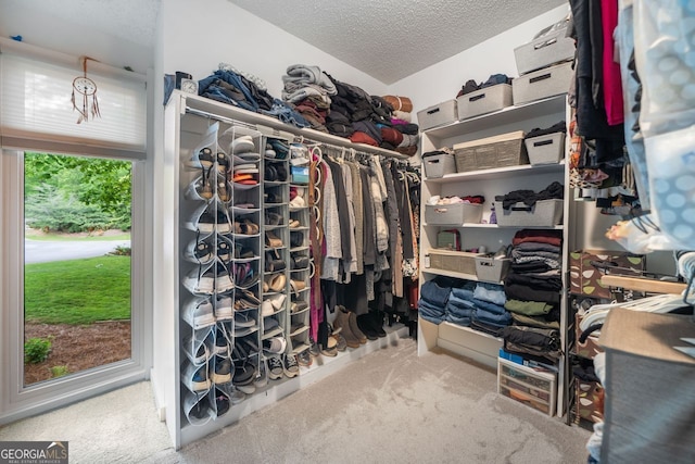 spacious closet featuring carpet