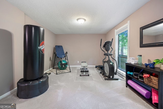 exercise area featuring baseboards, carpet flooring, and a textured ceiling