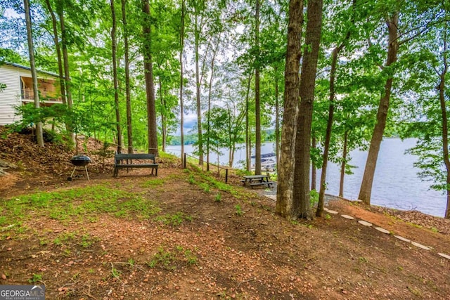 1860 Apalachee Woods Trl, Buckhead, GA 30625 - view of yard with a water view