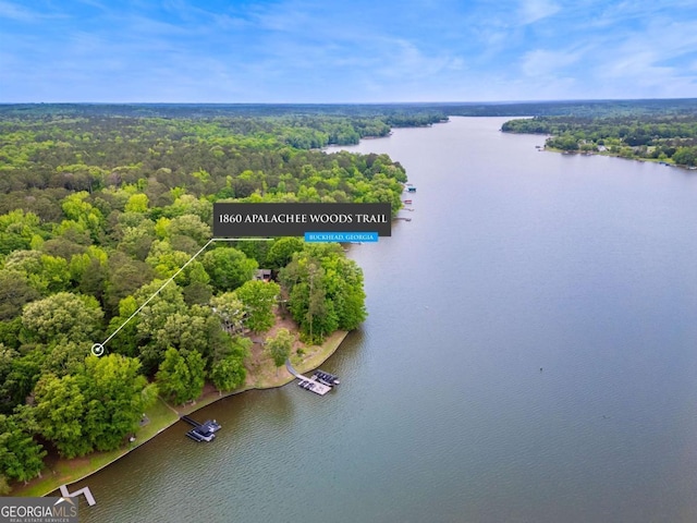 1860 Apalachee Woods Trl, Buckhead, GA 30625 - bird's eye view featuring a water view and a view of trees