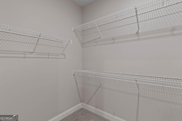 walk in closet featuring carpet floors