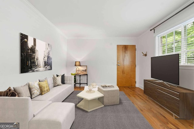 798 Saint Charles Ave NE Unit 7, Atlanta, GA 30306 - living area featuring ornamental molding and wood finished floors