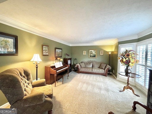 4614 Capers Xing W, Peachtree Corners, GA 30092 - carpeted living room featuring ornamental molding and a textured ceiling
