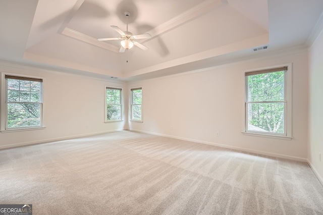 spare room featuring visible vents, a wealth of natural light, and a raised ceiling