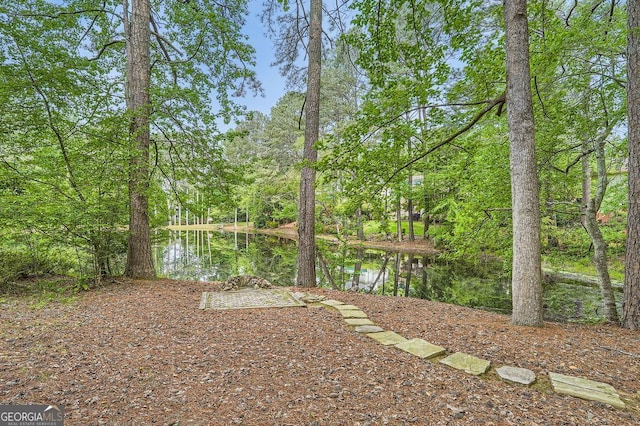 view of yard with a water view
