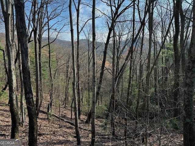 191 Mountain View Rd, Ellijay, GA 30540 - view of wooded area