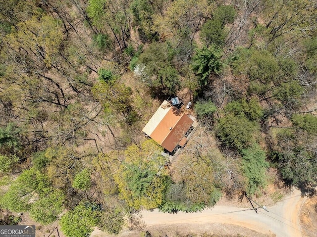 191 Mountain View Rd, Ellijay, GA 30540 - view from above of property