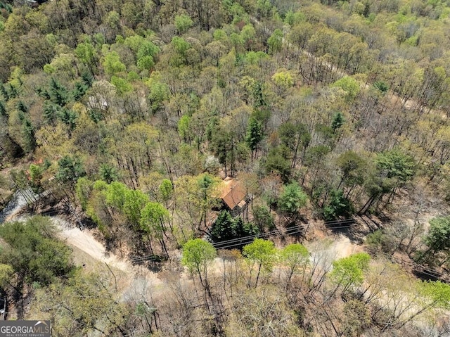 191 Mountain View Rd, Ellijay, GA 30540 - drone / aerial view of a forest
