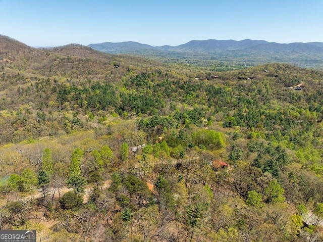 191 Mountain View Rd, Ellijay, GA 30540 - view of mountain backdrop with a heavily wooded area