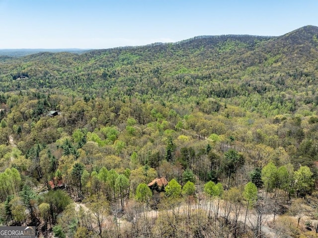 191 Mountain View Rd, Ellijay, GA 30540 - bird's eye view of a forest and a mountain backdrop