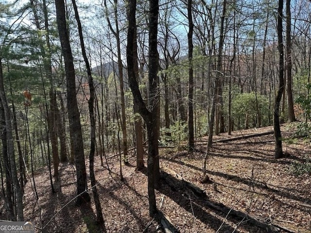 191 Mountain View Rd, Ellijay, GA 30540 - view of tree filled area
