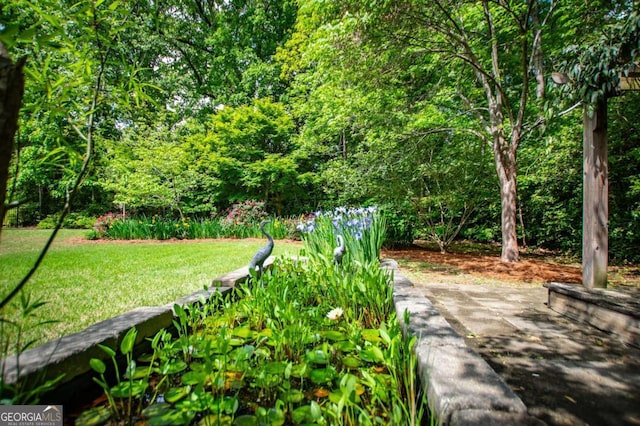 view of property's community with a yard and a view of trees