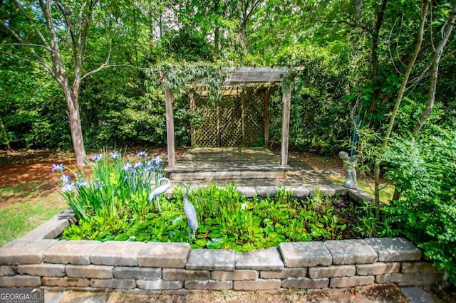 view of yard featuring a pergola