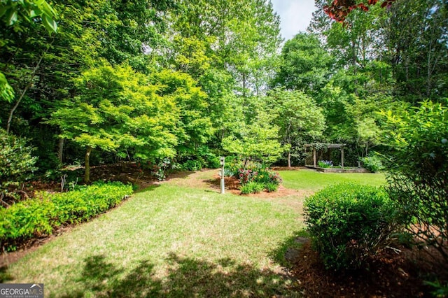 view of yard