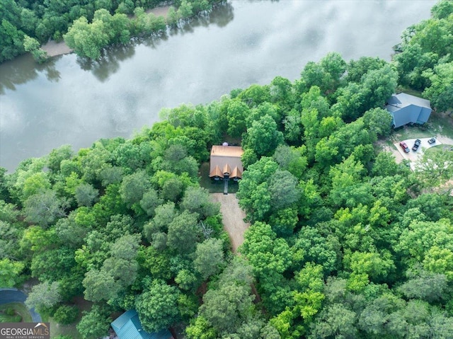 drone / aerial view featuring a water view and a view of trees
