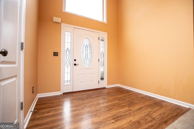 entrance foyer with baseboards, wood finished floors, and a healthy amount of sunlight