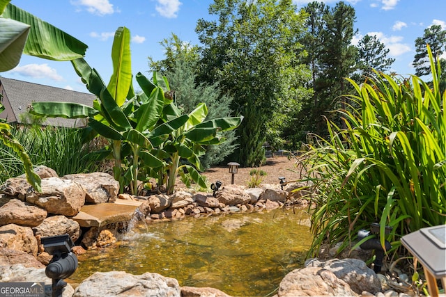 exterior space with a small pond