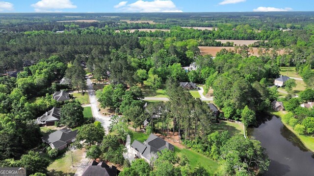 1703 Windsor Rd, Statesboro, GA 30461 - aerial view of property's location with a heavily wooded area and a large body of water