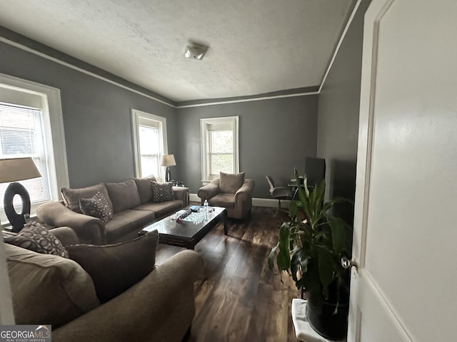 living area with dark wood-style floors, a textured ceiling, and baseboards