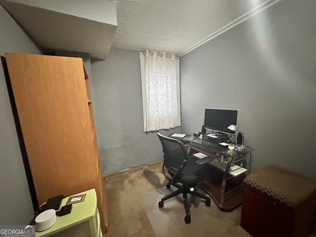 office space with carpet and a textured ceiling