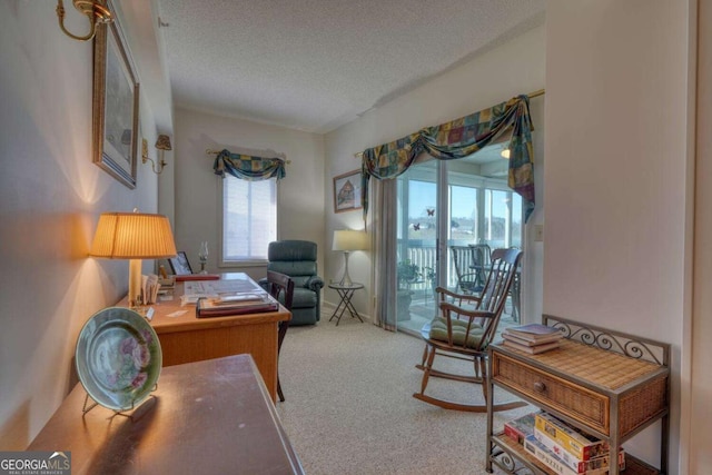 3131 Allison Ct Unit 3A, Young Harris, GA 30582 - carpeted office featuring a textured ceiling