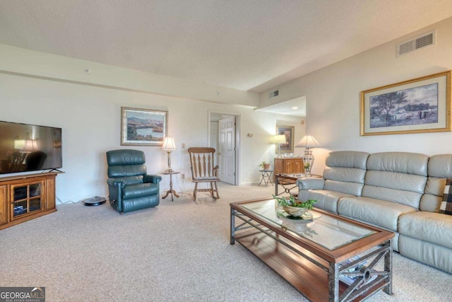 3131 Allison Ct Unit 3A, Young Harris, GA 30582 - living room featuring visible vents and carpet flooring