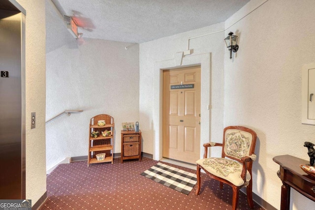 3131 Allison Ct Unit 3A, Young Harris, GA 30582 - sitting room featuring a textured ceiling, a textured wall, carpet, and baseboards