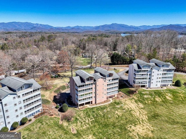 3131 Allison Ct Unit 3A, Young Harris, GA 30582 - aerial view featuring a wooded view and a mountain view