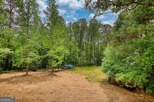 view of yard with a view of trees