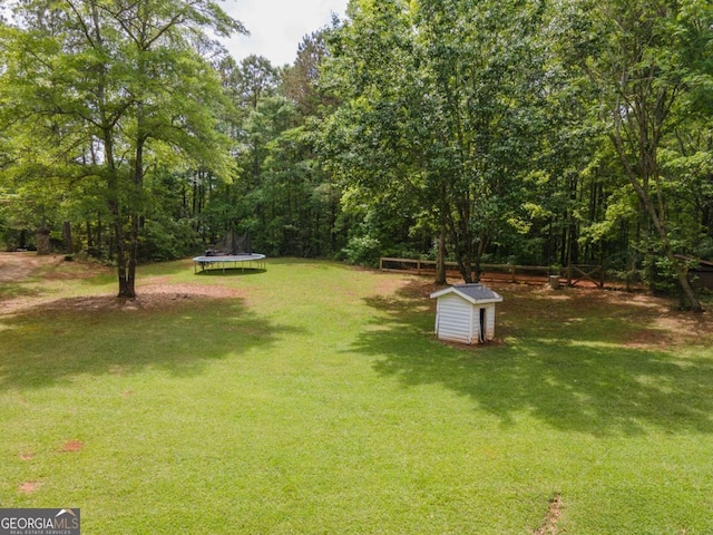 view of yard with a trampoline
