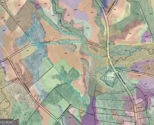 0 Old Moore Rd, Portal, GA 30450
