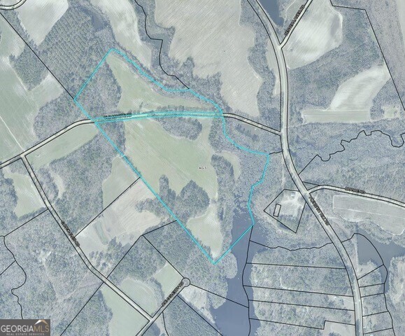 0 Old Moore Rd, Portal, GA 30450